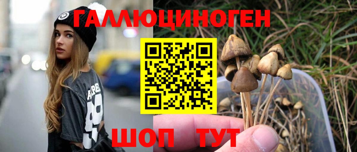 Псилоцибиновые грибы Cubensis  где купить наркотик  Рассказово  Вход с VPN  Псилоцибиновые грибы Psilocybe 